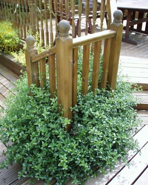 Balustrade-Category-Picture