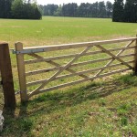 Field-Gates-Category-Picture